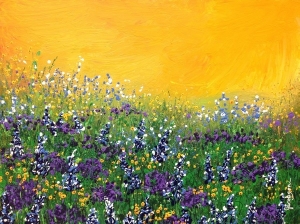 Sunshine Meadow