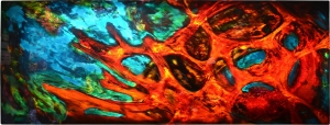 Coral Erosion
